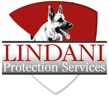 Lindani Security Services Durban logo