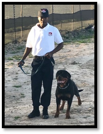 K9 Security Team with Handler